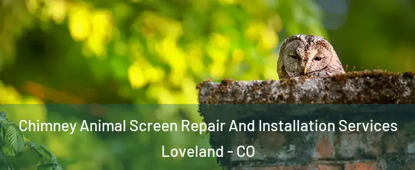  Chimney Animal Screen Repair And Installation Services Loveland - CO