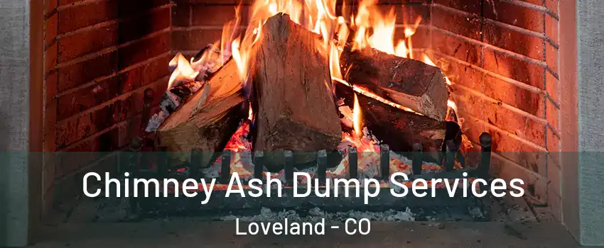  Chimney Ash Dump Services Loveland - CO