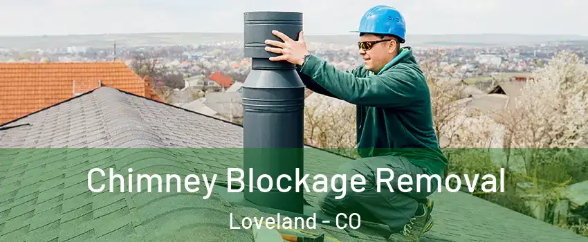  Chimney Blockage Removal Loveland - CO