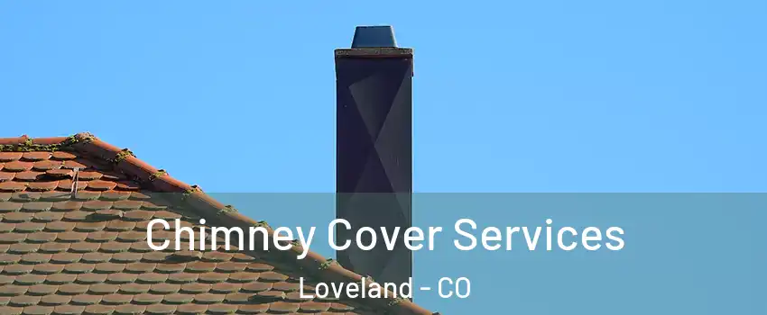  Chimney Cover Services Loveland - CO