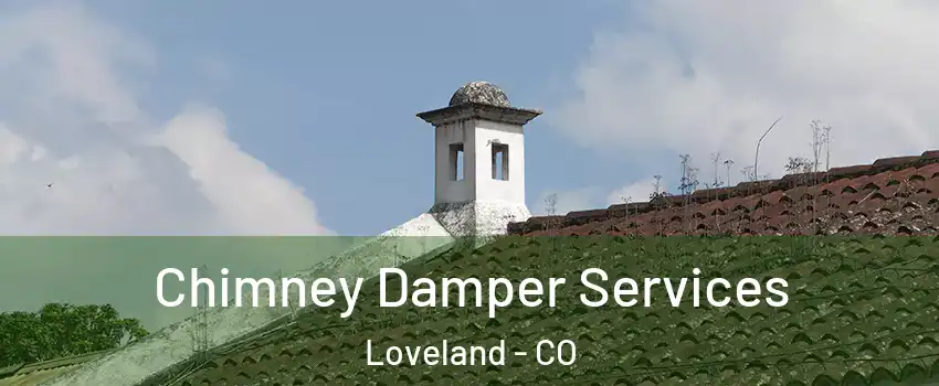  Chimney Damper Services Loveland - CO