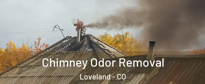  Chimney Odor Removal Loveland - CO