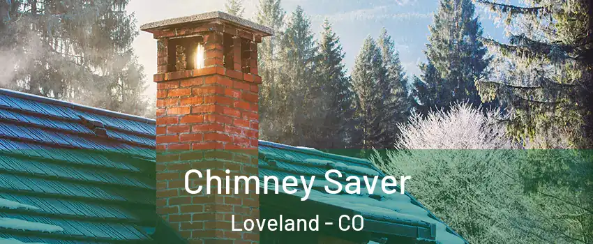  Chimney Saver Loveland - CO