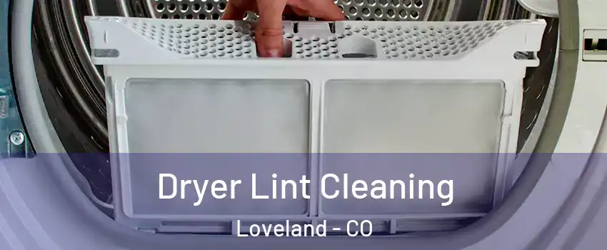  Dryer Lint Cleaning Loveland - CO