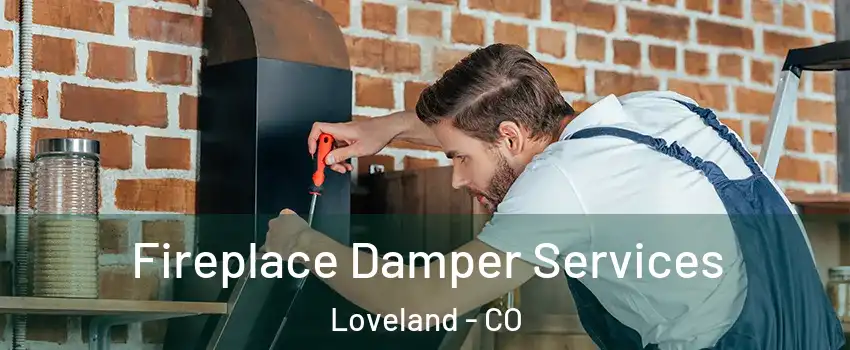  Fireplace Damper Services Loveland - CO