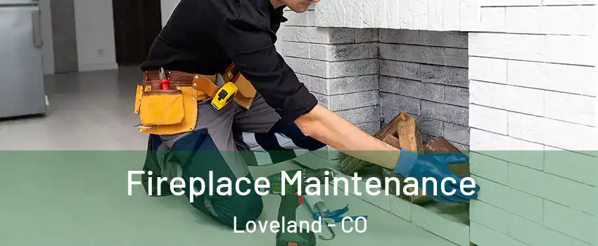  Fireplace Maintenance Loveland - CO