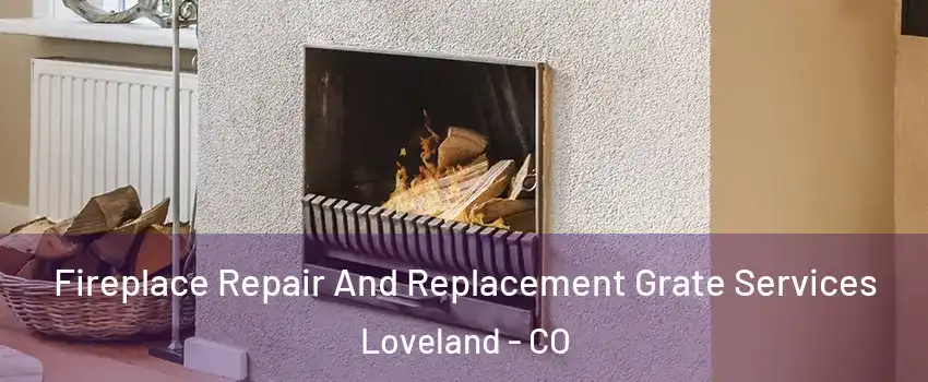  Fireplace Repair And Replacement Grate Services Loveland - CO