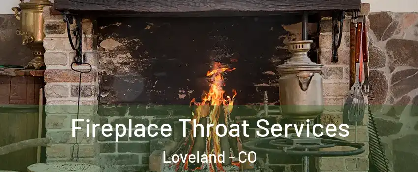  Fireplace Throat Services Loveland - CO