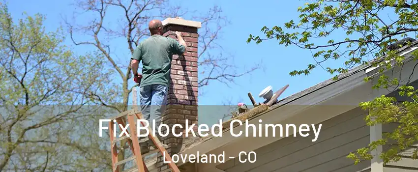  Fix Blocked Chimney Loveland - CO