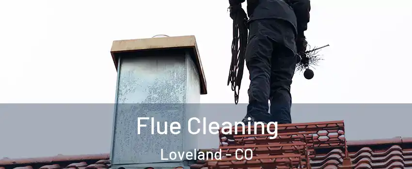  Flue Cleaning Loveland - CO
