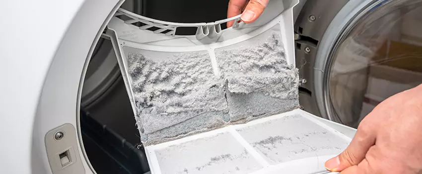 Best Dryer Lint Removal Company in Loveland, Colorado