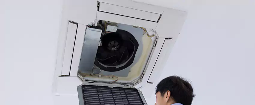 Benefits of Professional Air Duct Cleaning in Loveland, Colorado