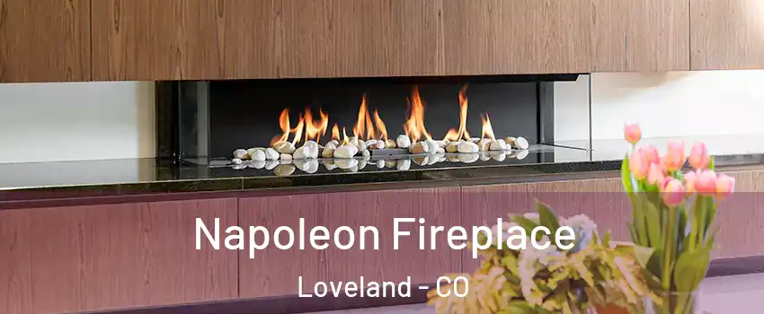  Napoleon Fireplace Loveland - CO