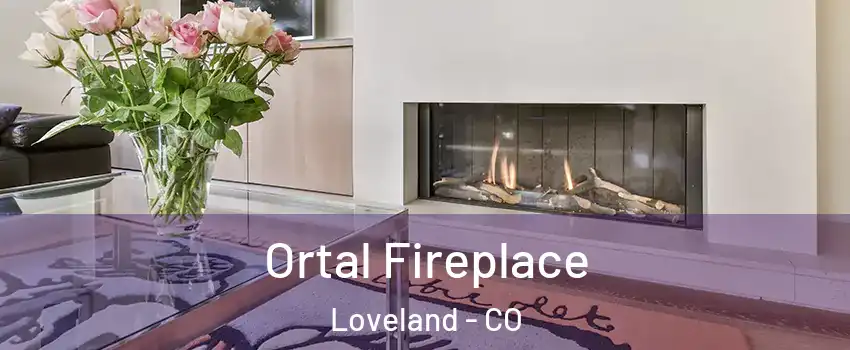Ortal Fireplace Loveland - CO