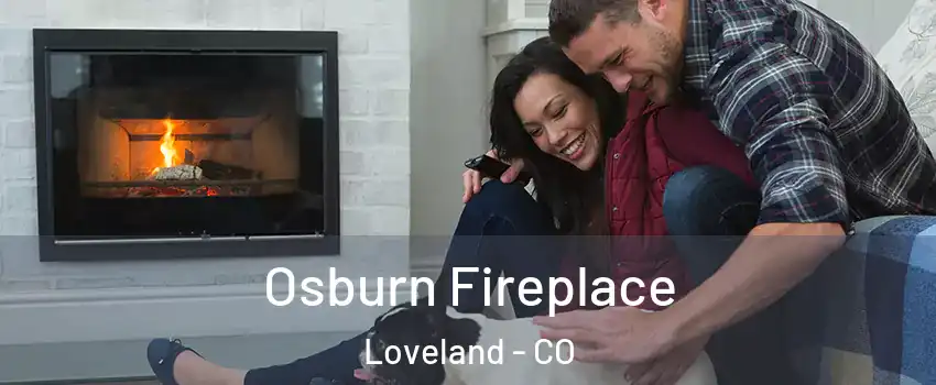  Osburn Fireplace Loveland - CO